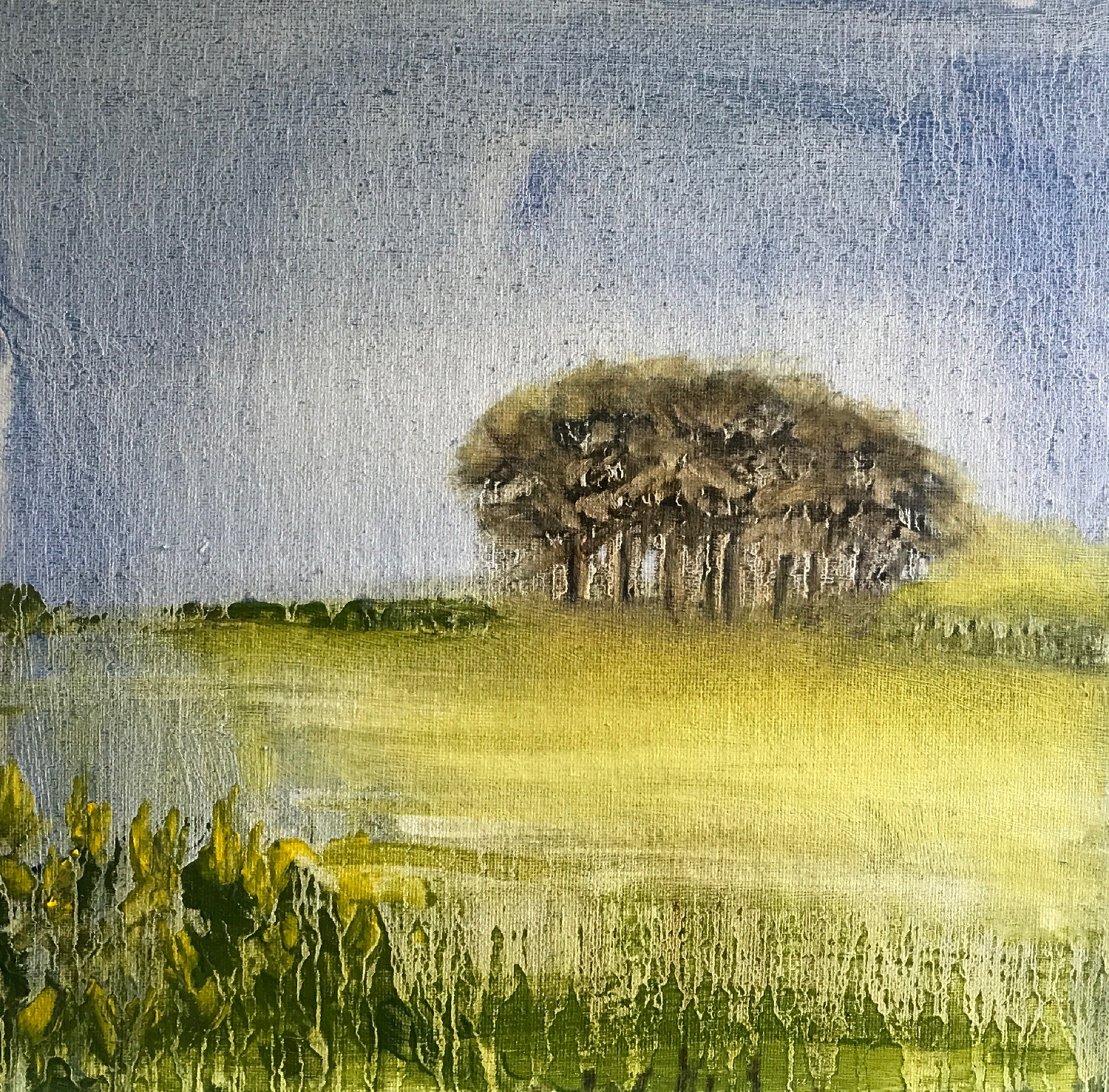 Gorse and Trees