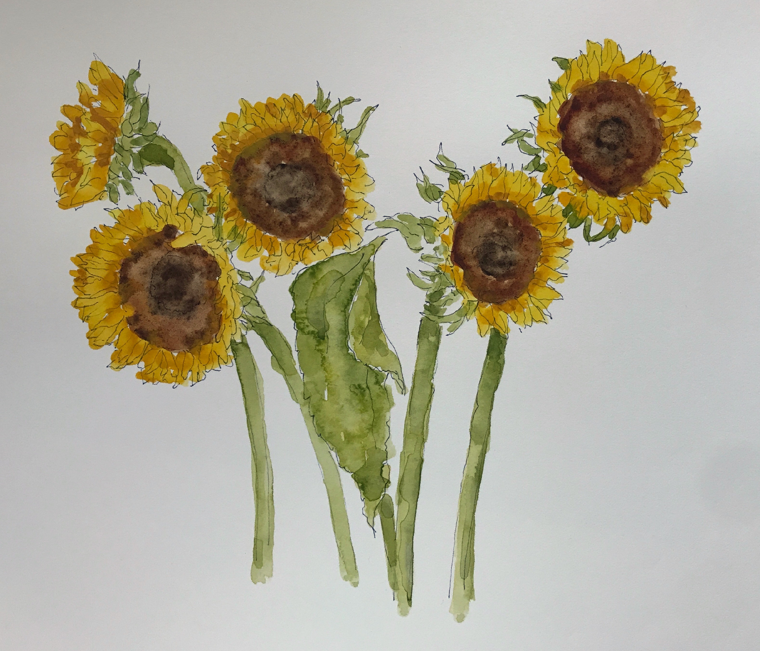 Sunflowers from Pippa