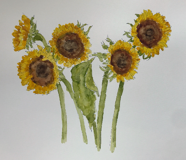 Sunflowers from Pippa
